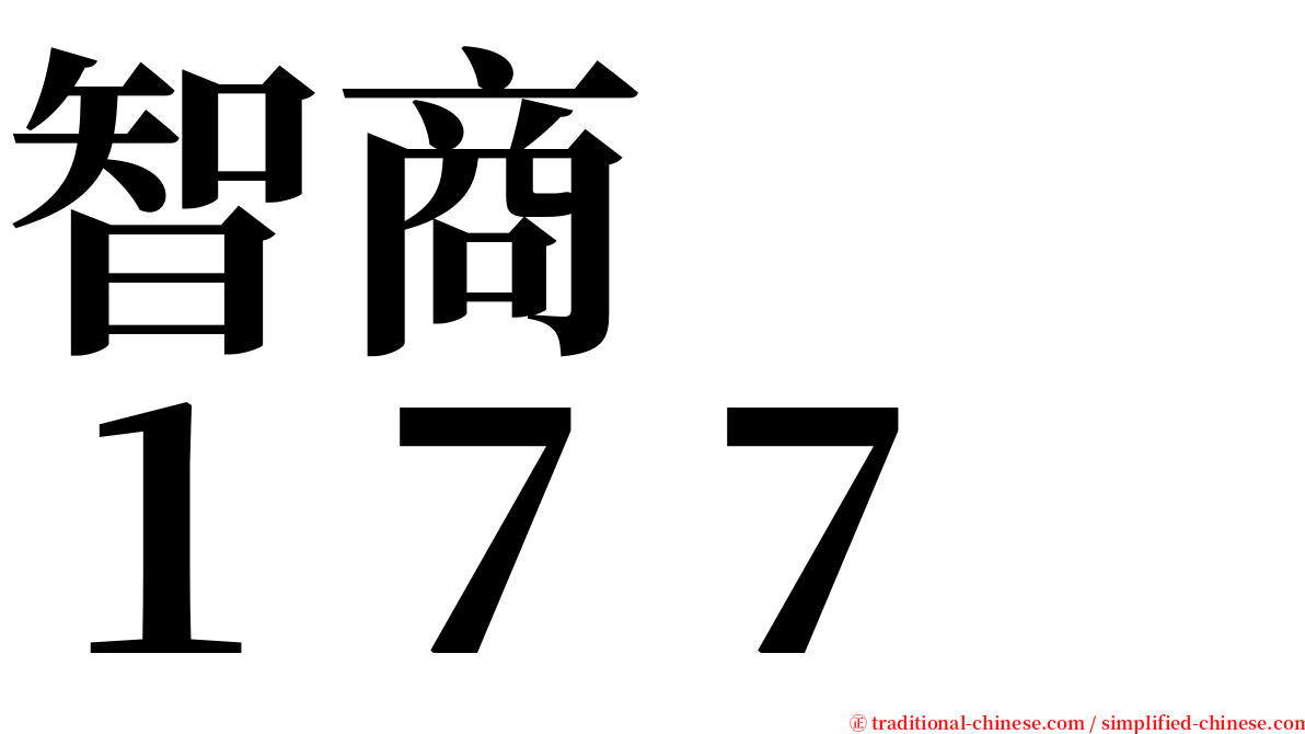 智商　　１７７ serif font